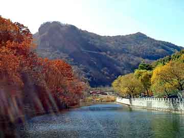 新澳天天开奖资料大全旅游团，并蒂九莲